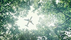 Ein Flugzeug fliegt hoch über einem dichten Blätterdach, sichtbar zwischen den Ästen von Bäumen.
