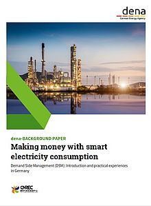 Cover dena-Background paper Making money with smart electricity consumption