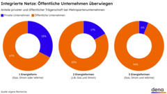 Drei Kreisdiagramme zeigen den Anteil privater und öffentlicher Unternehmen bei ein, zwei und drei Energieformen, wobei öffentliche Unternehmen überwiegen