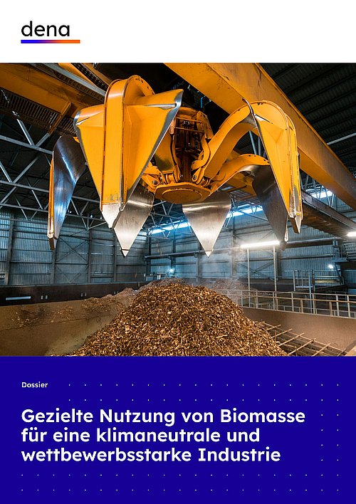 Große gelbe Greifarmmaschine über einem Haufen Holzspäne in einer Industriehalle, darunter Text 'Gezielte Nutzung von Biomasse für eine klimaneutrale und wettbewerbsstarke Industrie'.