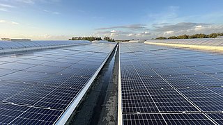 Eine großflächige Photovoltaik-Anlage auf einem Hallendach.
