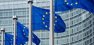 Fünf EU-Flaggen mit gelben Sternen auf blauem Hintergrund, die an Fahnenmasten vor einem modernen Gebäude wehen.