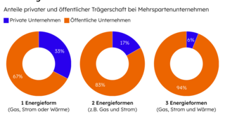 Drei Kreisdiagramme zeigen den Anteil privater und öffentlicher Unternehmen bei ein, zwei und drei Energieformen, wobei öffentliche Unternehmen überwiegen