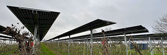 Mehrere Reihen von Solarpaneelen auf Metallgestellen über einem Feld mit grüner Wiese und vertrockneten Pflanzen unter bewölktem Himmel.