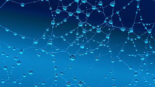 Nahaufnahme eines Netzes mit Wassertropfen, die Licht reflektieren, vor einem blauen Hintergrund. 