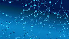 Nahaufnahme eines Netzes mit Wassertropfen, die Licht reflektieren, vor einem blauen Hintergrund. 