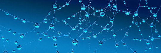 Nahaufnahme eines Netzes mit Wassertropfen, die Licht reflektieren, vor einem blauen Hintergrund. 