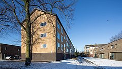 Foto: Frank Hanswijk