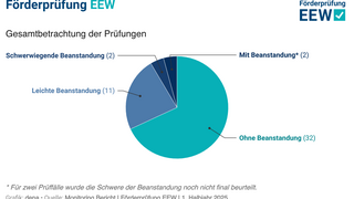Tortendiagramm, das zeigt, dass mehr als zwei Drittel der insgesamt 47 Prüfungen ohne Beanstandungen sind