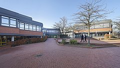 ESC-Orientierungsberatung