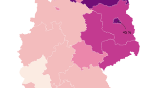 Karte von Deutschland zeigt den Anteil an Wohneinheiten mit Wärmenetzversorgung in Stadtstaaten und östlichen Bundesländern, farblich abgestuft von 9 % bis 45 %.