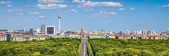 Das Bild zeigt eine Panoramaansicht von Berlin mit üppigem Grün im Vordergrund.