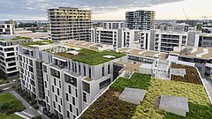 Blick auf begrünte Dächer auf modernen Gebäuden und anderen Wohngebäuden in Sydney, Australien bei Sonnenaufgang