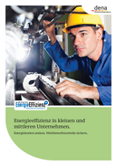 Broschüre: Energieeffizienz in kleinen und mittleren Unternehmen.