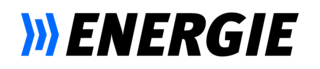 LOGO Dialog Energiewechsel