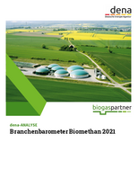 dena-ANALYSE: Branchenbarometer Biomethan 2021