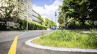 Innerstädtische Szene in der Singerstraße mit Kopfsteinpflaster. Im Vordergrund eine Wildblumenwiese, begrenzt durch Holzzäune. Eine Person fährt mit dem Fahrrad vorbei. Im Hintergrund Wohngebäude mit begrünten Balkonen und Bäumen.