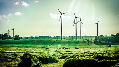 Windkraftanlagen auf Feldern