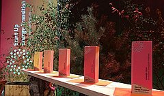 Fünf farbige Auszeichnungen auf einem Holzbrett, umgeben von Pflanzen. Die Auszeichnungen sind in verschiedenen Farben und zeigen den Text 'Start Up Energy Transition'.