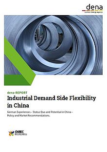 dena-REPORT: Industrial Demand Side Flexibility in China