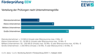 Verteilung der Prüfungen nach Unternehmensgröße: fünf Kleinstunternehmen, neun Kleine Unternehmen, 20 Mittlere Unternehmen, 13 Große Unternehmen