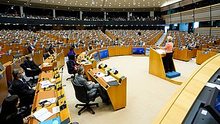 Sprecherin am Redepult in einem großem Parlaments-Saal
