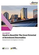 dena-Report_Small_is_Beautiful_The_Great_Potential_of_DR