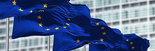 Mehrere Europa-Flaggen wehen im Wind. Im Hintergrund ist ein großes Gebäude.