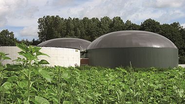 Biogasanlage an einem Sonnenblumenfeld