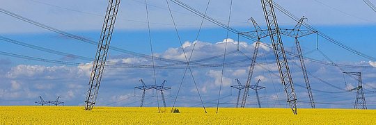  Eine weite Landschaft mit einem gelben Blumenfeld und mehreren großen Strommasten und Hochspannungsleitungen, die sich gegen einen blauen Himmel mit einigen Wolken abheben.