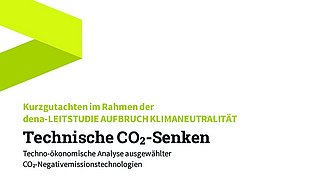 Titel und Untertitel des Dokuments: 'Kurzgutachten im Rahmen der dena-LEITSTUDIE AUFBRUCH KLIMANEUTRALITÄT' und 'Technische CO2-Senken'.