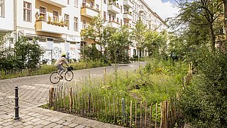 Straßenansicht im Berliner Graefekiez mit gelb markierter Fahrbahn. Im Vordergrund eine blühende Wildblumenwiese mit roten Mohnblumen als Beispiel für entsiegelte, klimaresiliente Flächen. Im Hintergrund Gebäude und der Fernsehturm bei sonnigem Wetter.
