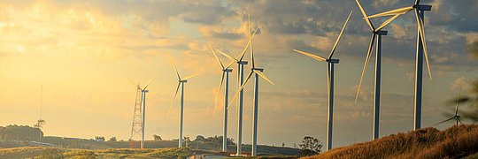 Windturbinen auf grüner Landschaft am sonnigen Morgen.