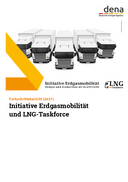 Fortschrittsbericht der Initiative Erdgasmobilität und der LNG-Taskforce (2017)