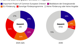 Diagramm: Elektrolysekapazität nach Förderprogramm in Betrieb 2025 und geplant bis 2030 in Megawatt. Links: Gesamt 185 MW (2025 Q3) mit Anteilen: „Important Project of Common European Interest“ 29%, „Reallabore der Energiewende“ 12%, „EU-Förderung“ 16%, „Sonstige Förderprogramme“ 26%, „Keine Förderung oder keine Angabe“ 17%. Rechts: Gesamt 8782 MW (2030) mit Anteilen: „Important Project of Common European Interest“ 18%, „Reallabore der Energiewende“ 4,3%, „EU-Förderung“ 6%, „Sonstige Förderprogramme“ 4,3%, „Keine Förderung oder keine Angabe“ 71%. Stand: Oktober 2025, Quelle: dena.