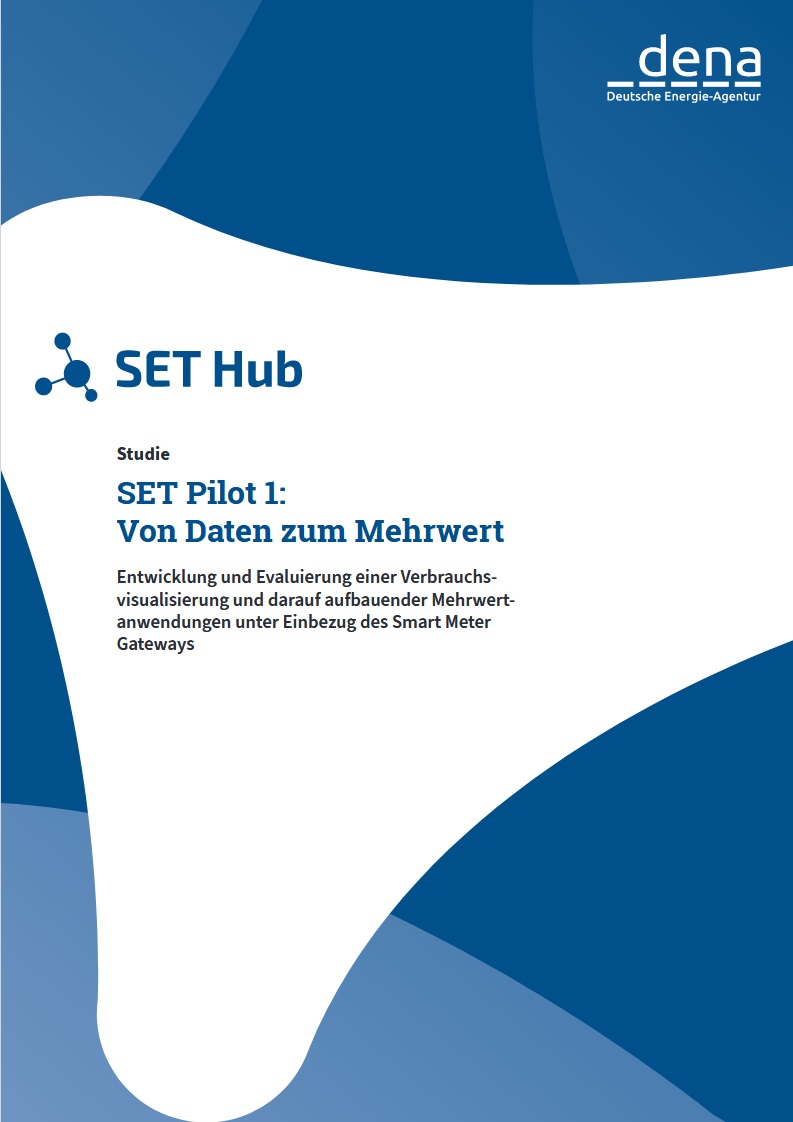 Titel der Publikation 'SET Pilot 1: Von Daten zum Mehrwert' der Deutschen Energie-Agentur (dena) mit Fokus auf Verbrauchsvisualisierung und Smart Meter Gateways